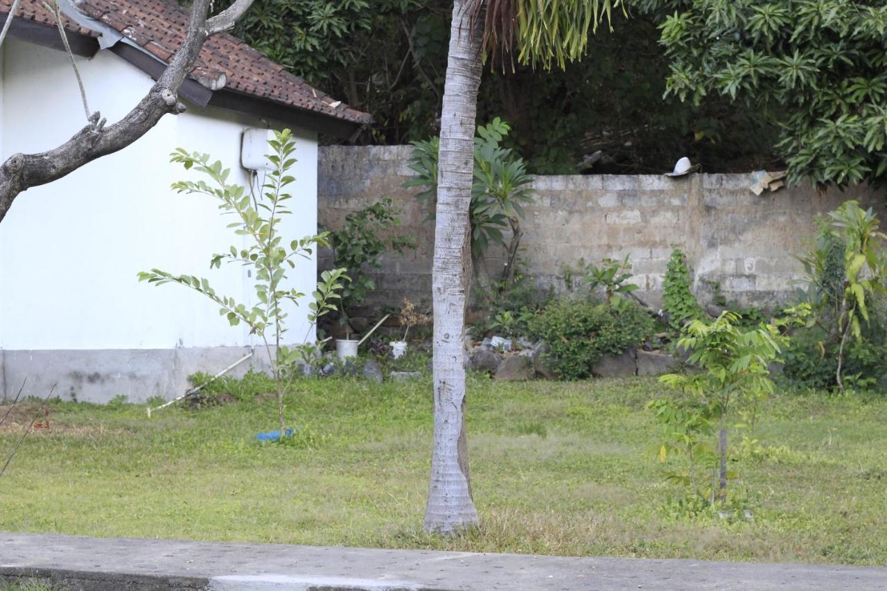 Coconut Beach Bungalows & Warung 2 アメッド エクステリア 写真